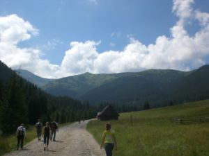 Dolina Chochołowska